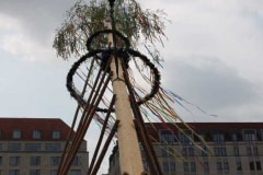 1_Maibaum-ZID-2017-04-29-7840