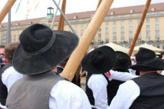 Maibaum-ZID-2017-04-29-7845