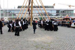Maibaum-ZID-2017-04-29-7849