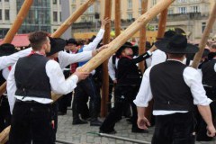 Maibaum-ZID-2017-04-29-7860