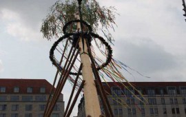 1_Maibaum-ZID-2017-04-29-7840