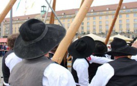 Maibaum-ZID-2017-04-29-7845