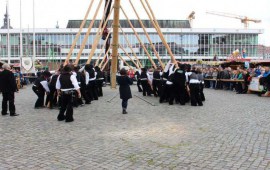 Maibaum-ZID-2017-04-29-7849