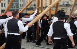 Maibaum-ZID-2017-04-29-7860